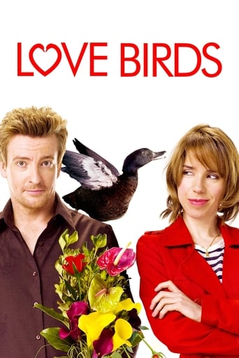 Watch Love Birds