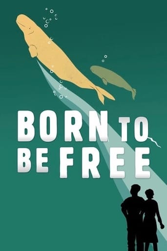 Watch Born to Be Free