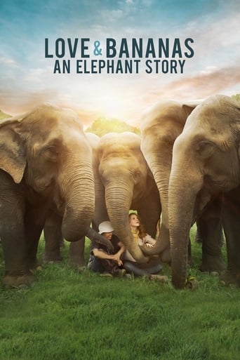 Watch Love & Bananas: An Elephant Story