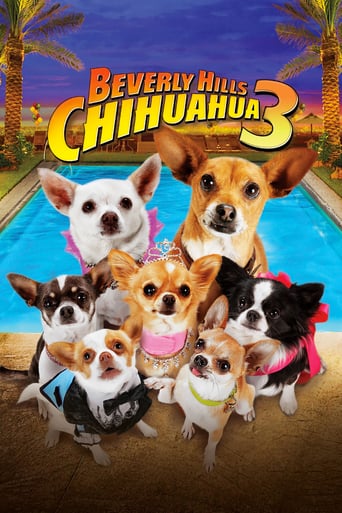 Un chihuahua en Beverly Hills 3: ¡Que viva la fiesta!