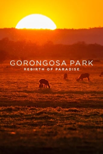 Gorongosa : le royaume oublié