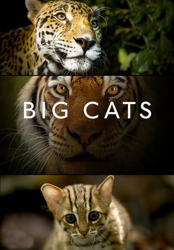 Felinos