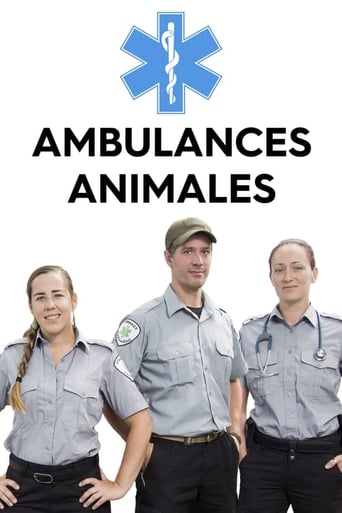 Ambulances animales