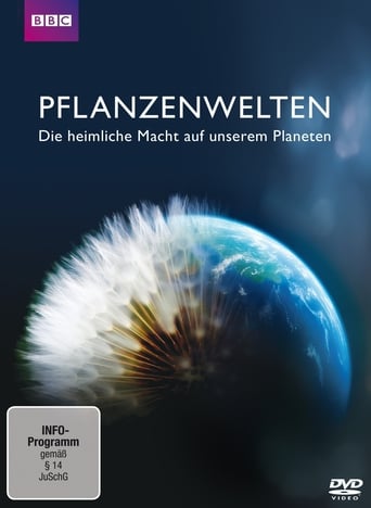 How to Grow a Planet