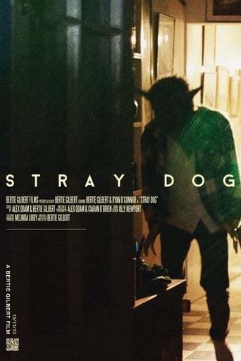 Stray Dog