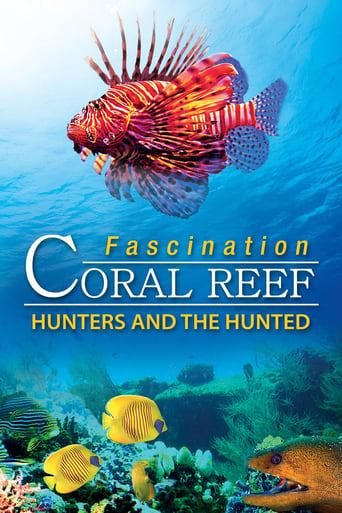L'Affascinante Barriera Corallina - Vol. 3: Prede E Predatori