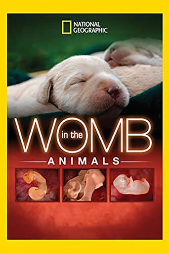Watch In The Womb: Animals