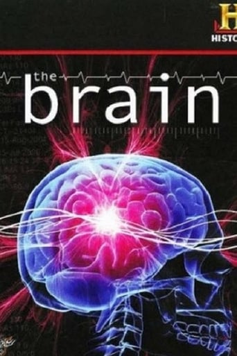 Watch The Brain