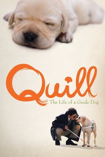 Watch Quill: The Life of a Guide Dog
