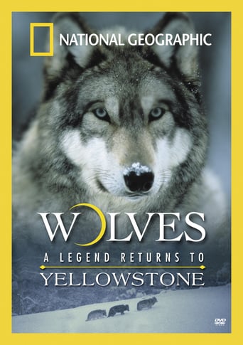 Watch Wolves: A Legend Returns to Yellowstone fullmovies now