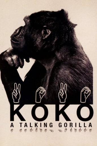 Watch Koko: A Talking Gorilla
