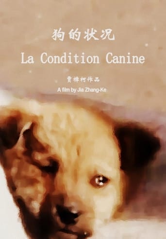 The Condition of Dogs