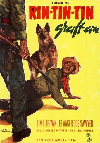 Watch The Challenge of Rin Tin Tin