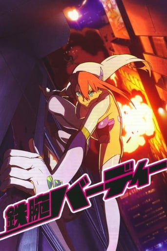 Tetsuwan Birdy: Decode