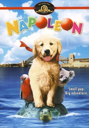 Napoleón, el perrito aventurero