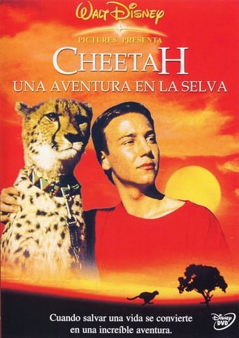 Cheetah