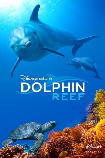 Delfines, la vida en el arrecife