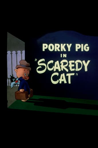 Porky: gato miedoso