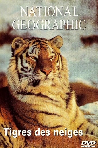 Tigres de Siberia