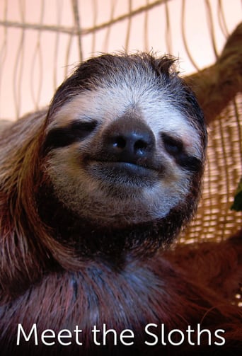 Watch Meet the Sloths