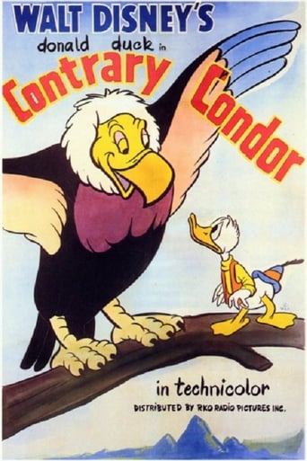 Watch Contrary Condor