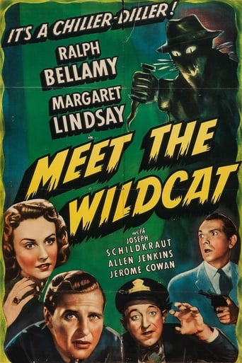 Watch Meet the Wildcat