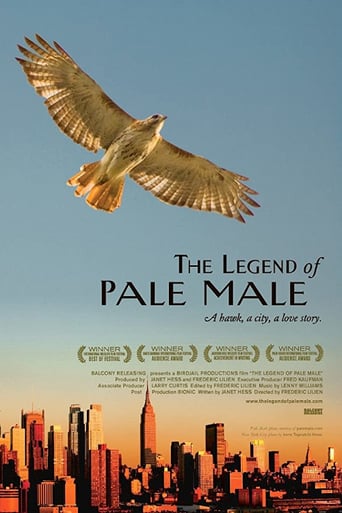 Watch The Legend of Pale Male
