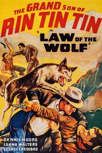 Watch Law of the Wolf