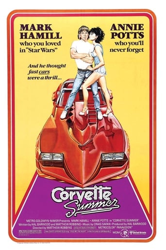 Corvette Summer