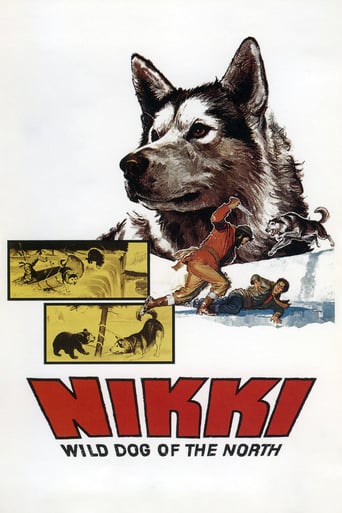 Nikki, il selvaggio cane del Nord