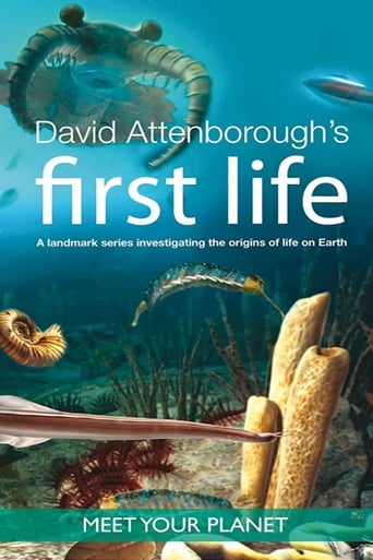 First Life – Alla scoperta delle origini della vita sulla Terra