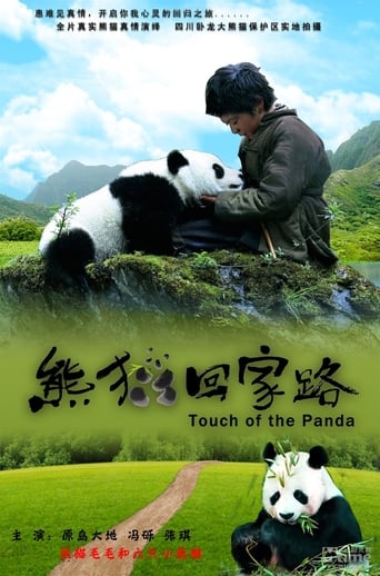 Un panda per amico