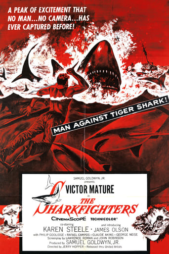 Cacciatori di squali