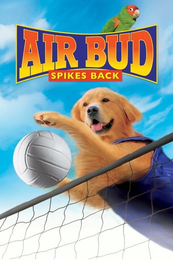 Air Bud 5 - Un Amico dal Tocco Magico