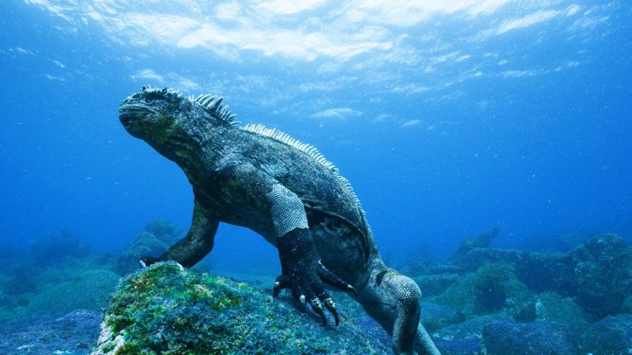 Galapagos 3D: Nature's Wonderland