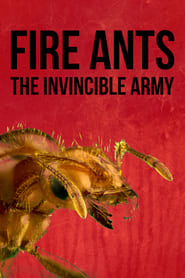 Watch Fire Ants 3D: The Invincible Army