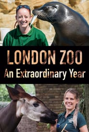 Watch London Zoo: An Extraordinary Year