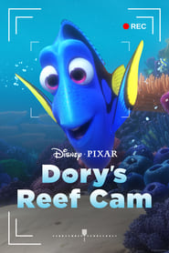 Watch Dory's Reef Cam