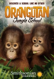 Watch Orangutan Jungle School