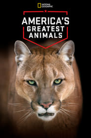 Watch America's Greatest Animals