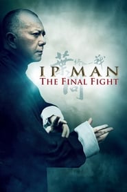 Watch Ip Man: The Final Fight