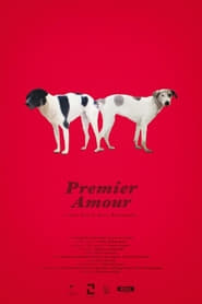 Watch Premier Amour