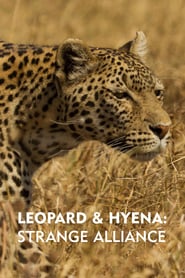 Watch Leopard & Hyena: Strange Alliance
