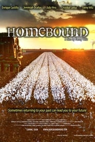 Watch Homebound