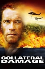 Watch Collateral Damage