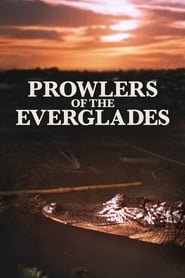 Watch Prowlers of the Everglades