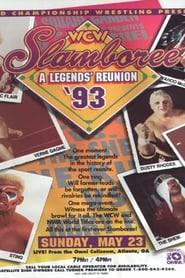 Watch WCW Slamboree 1993