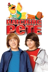 Watch Hatching Pete