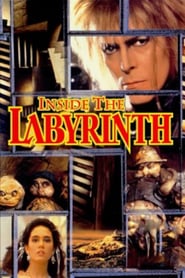 Watch Inside the Labyrinth