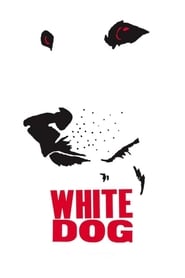 Watch White Dog